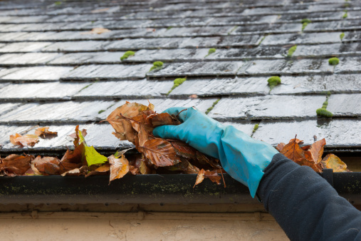 Gutter cleaning Gutter cleaning