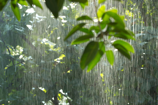 rainwater harvesting tanks