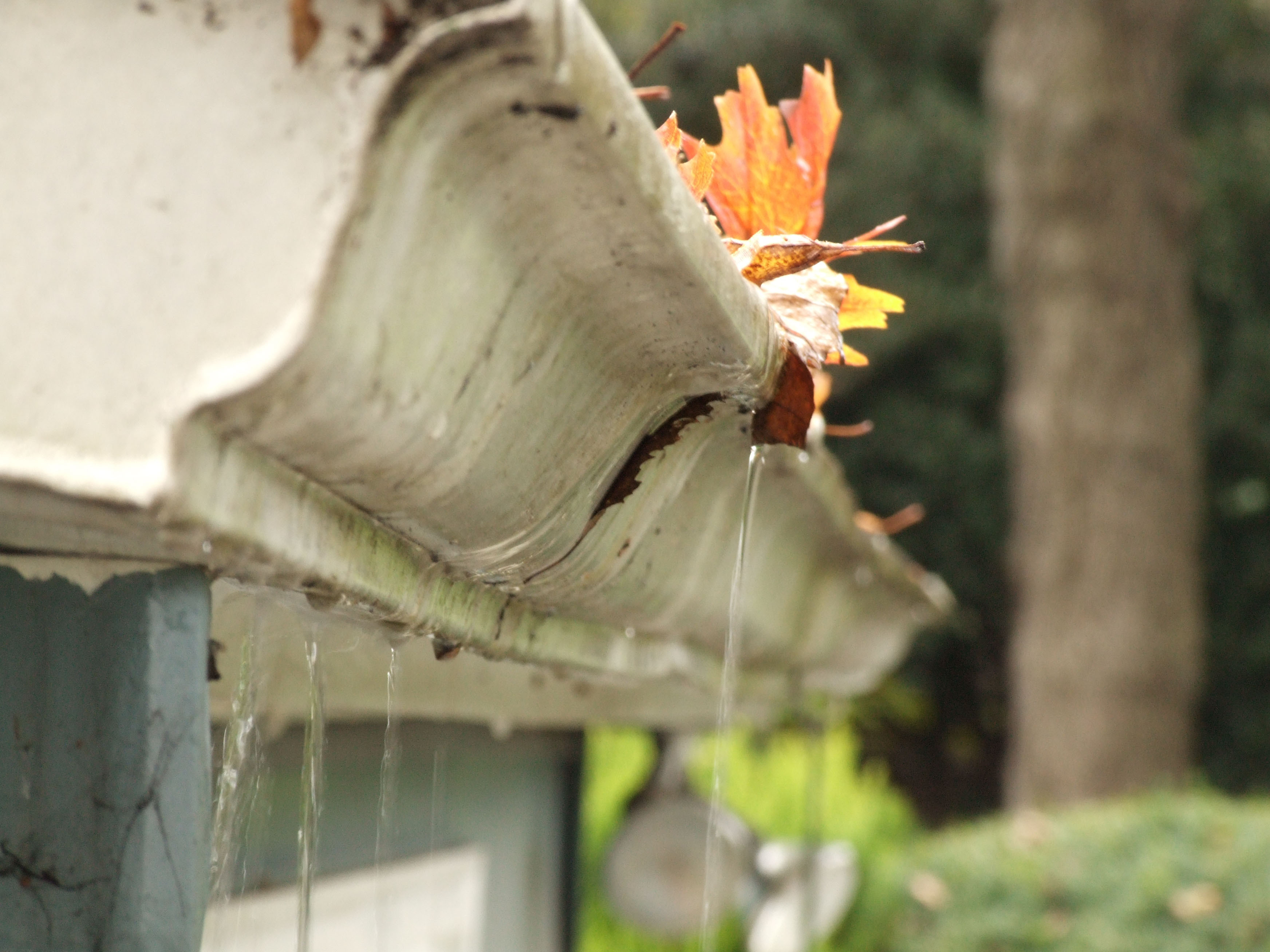 Gutter protection Gutter protection