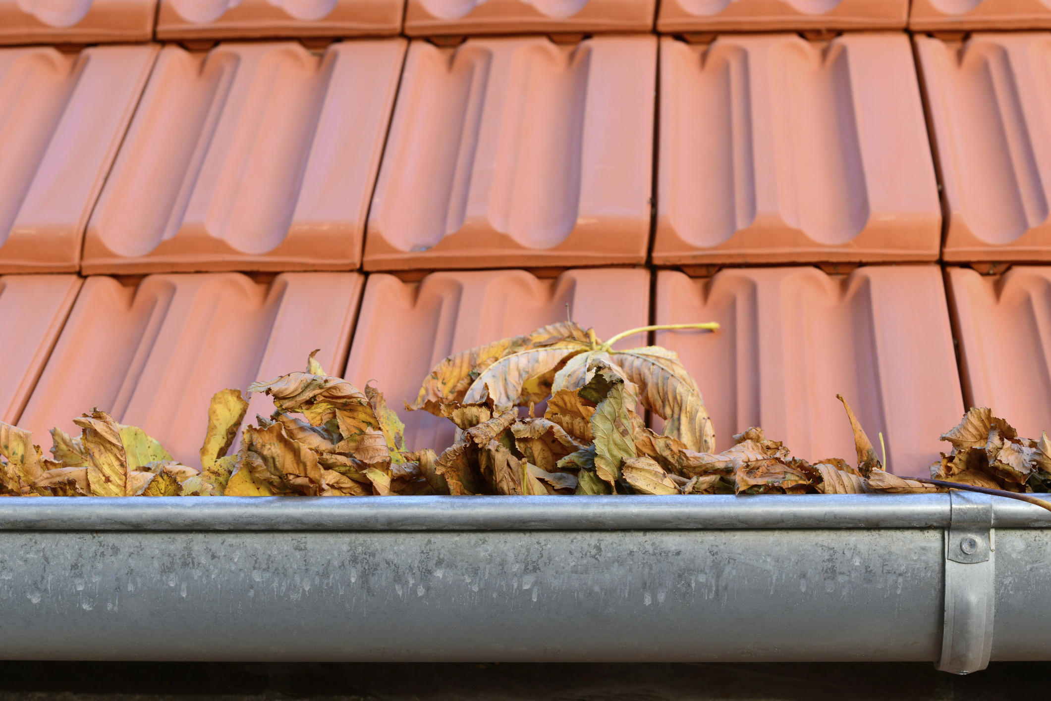 Gutter cover Gutter cover