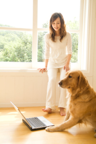 blog