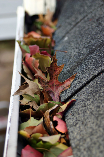 Gutter cleaning