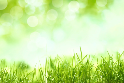 Rain water harvesting