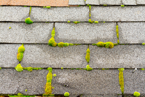 Roof repair