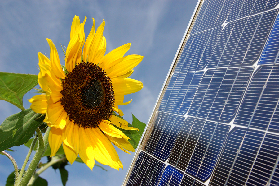 Solar panel
