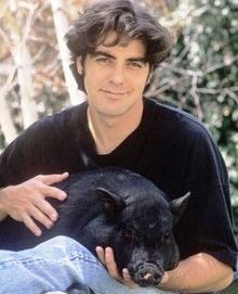 George Clooney and porcine friend in 1990