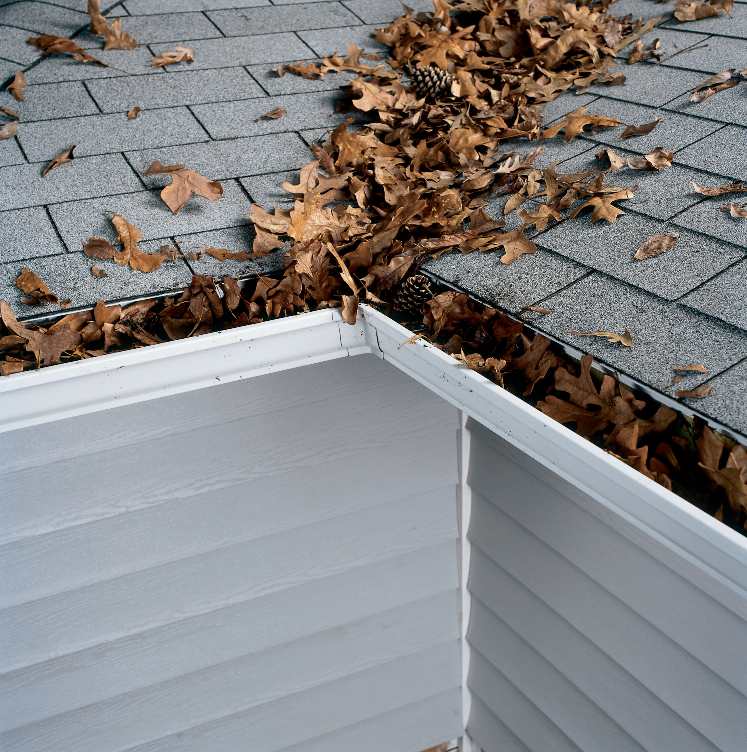 New England gutters that are clogged with debris do not function properly. A Gutter Guard from