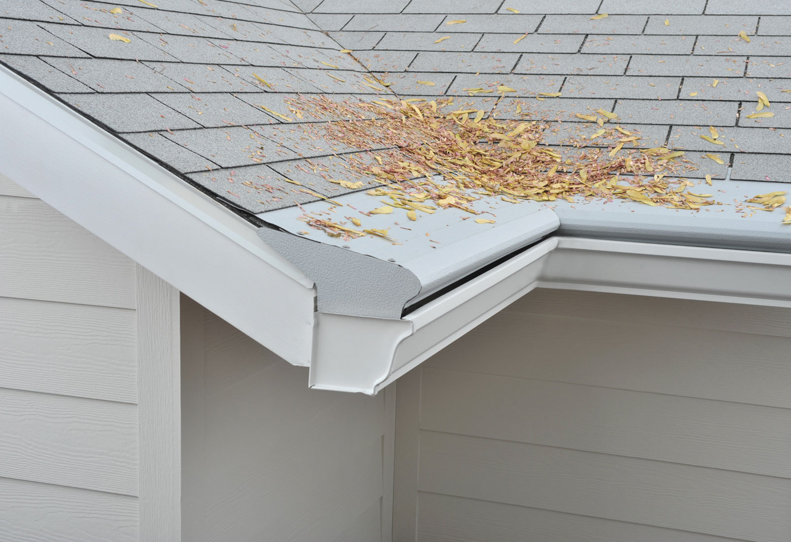From Boston to Providence from Worcester to Manchester, NH; Rain Gutter Guards are crucial to