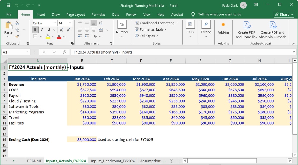 Excel FY2024 monthly actuals inputs for revenue and expenses