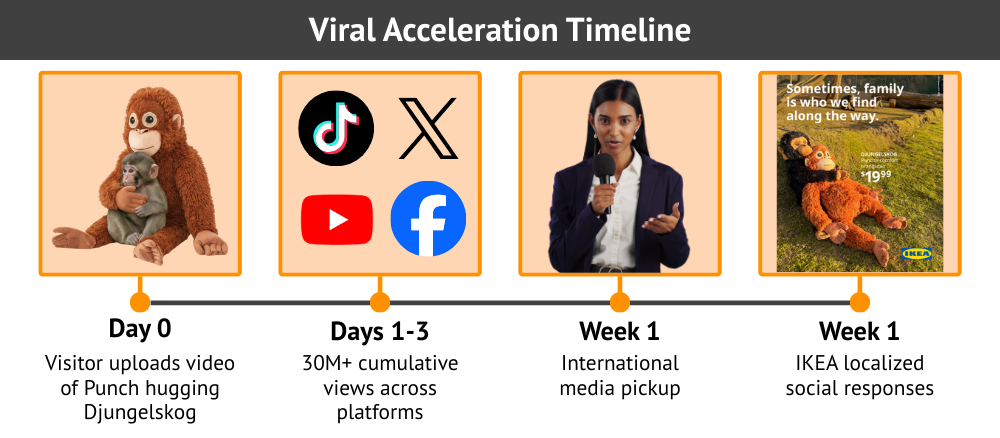 Viral punch timeline
