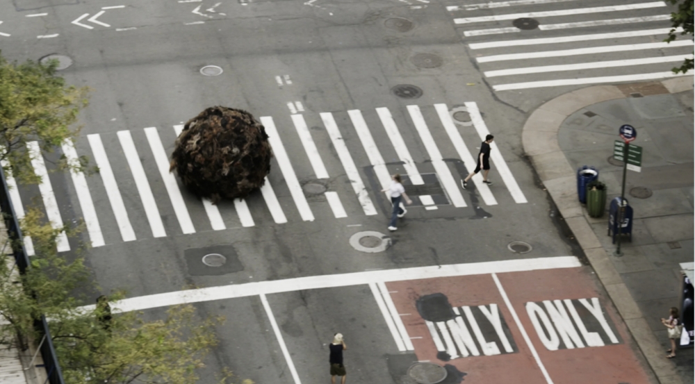 Giant hairball crossing a street.
