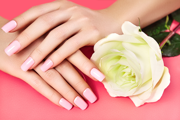 Online cosmetology classes