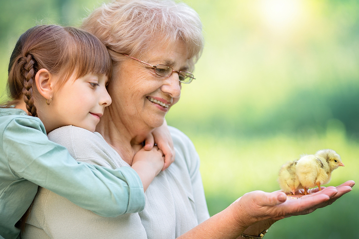 Elderly woman holding two chicks in her hand with a young girl looking on.