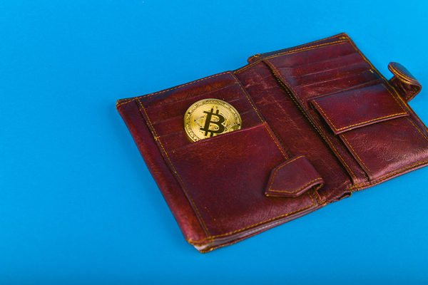 Leather wallet with a gold coin.