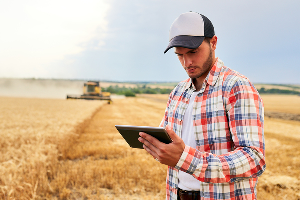 Farmer in a field using a tablet.