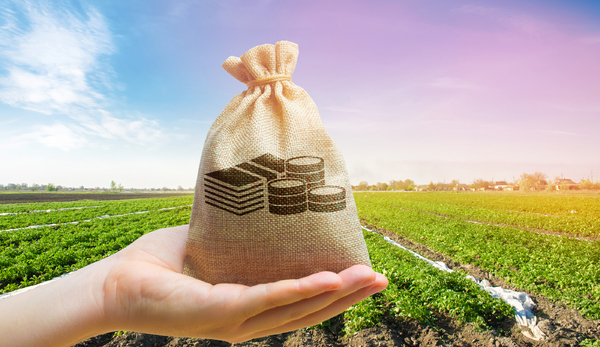 Burlap bag and crops.