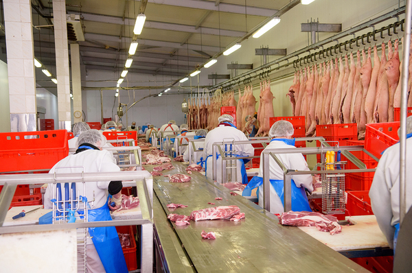Workers cutting beef.