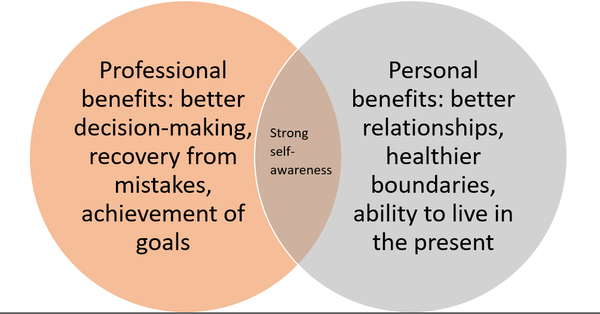 professional vs personal