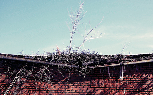 Gutters Gutters