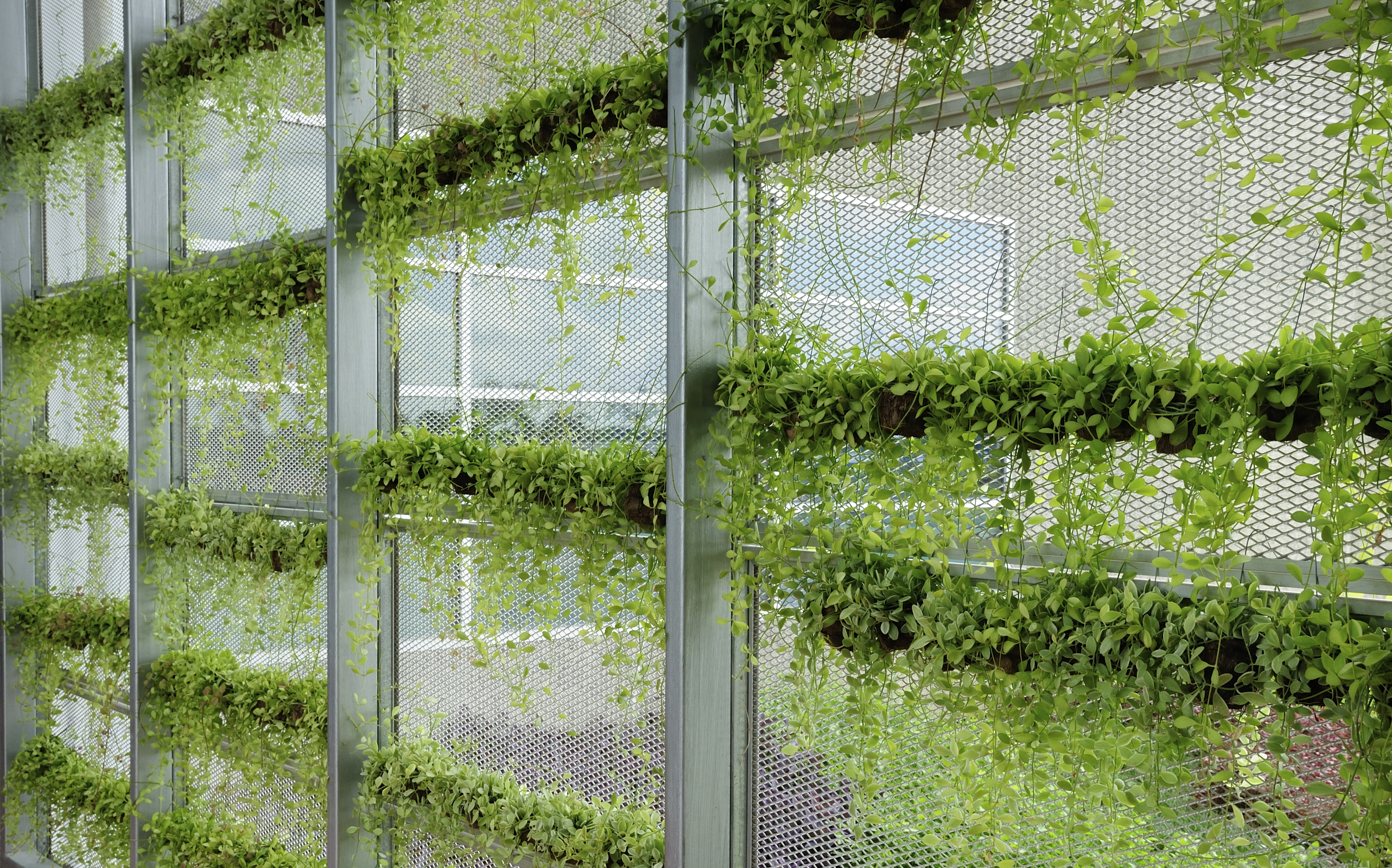 Vertical gardening Vertical gardening