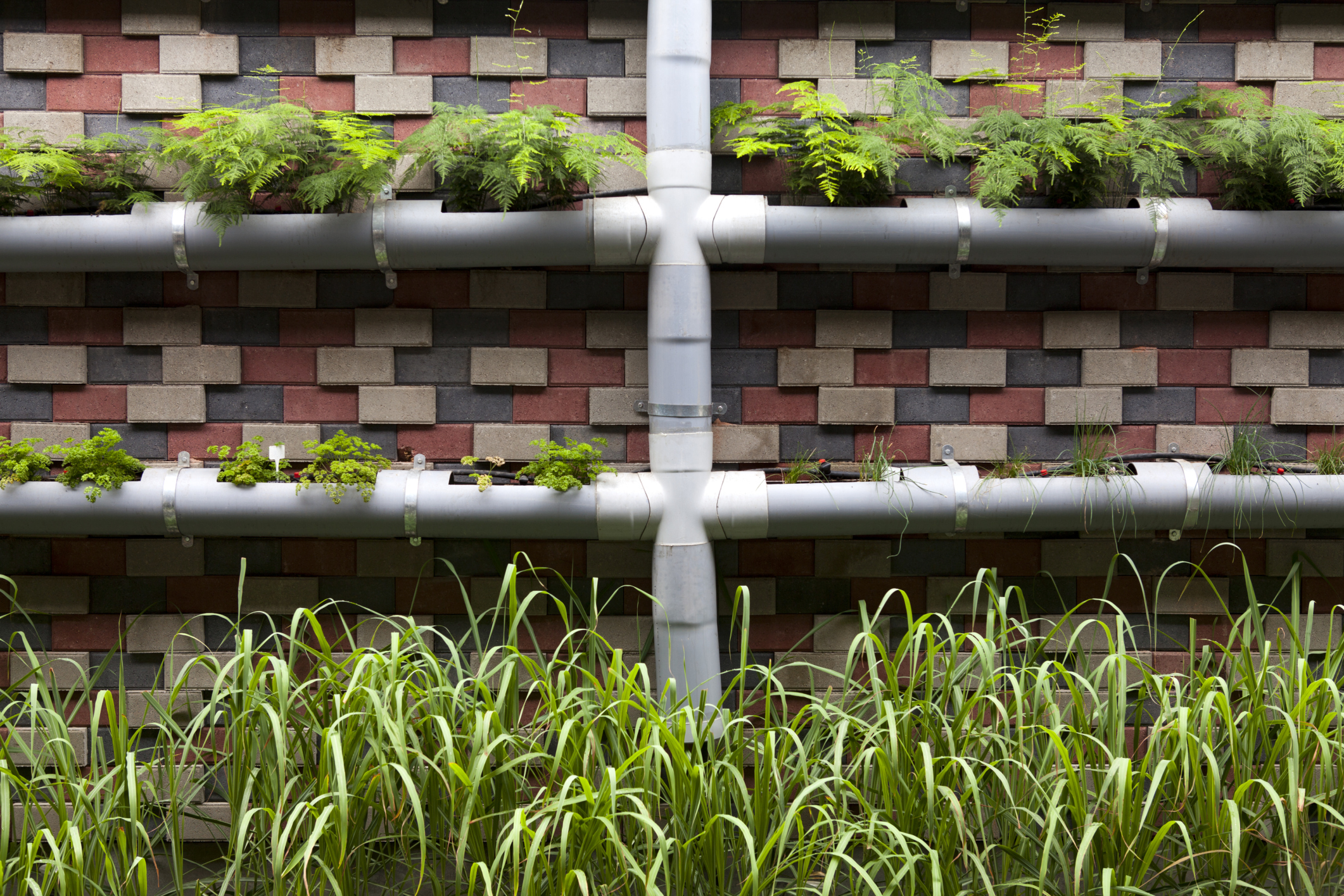 Vertical gardening Vertical gardening