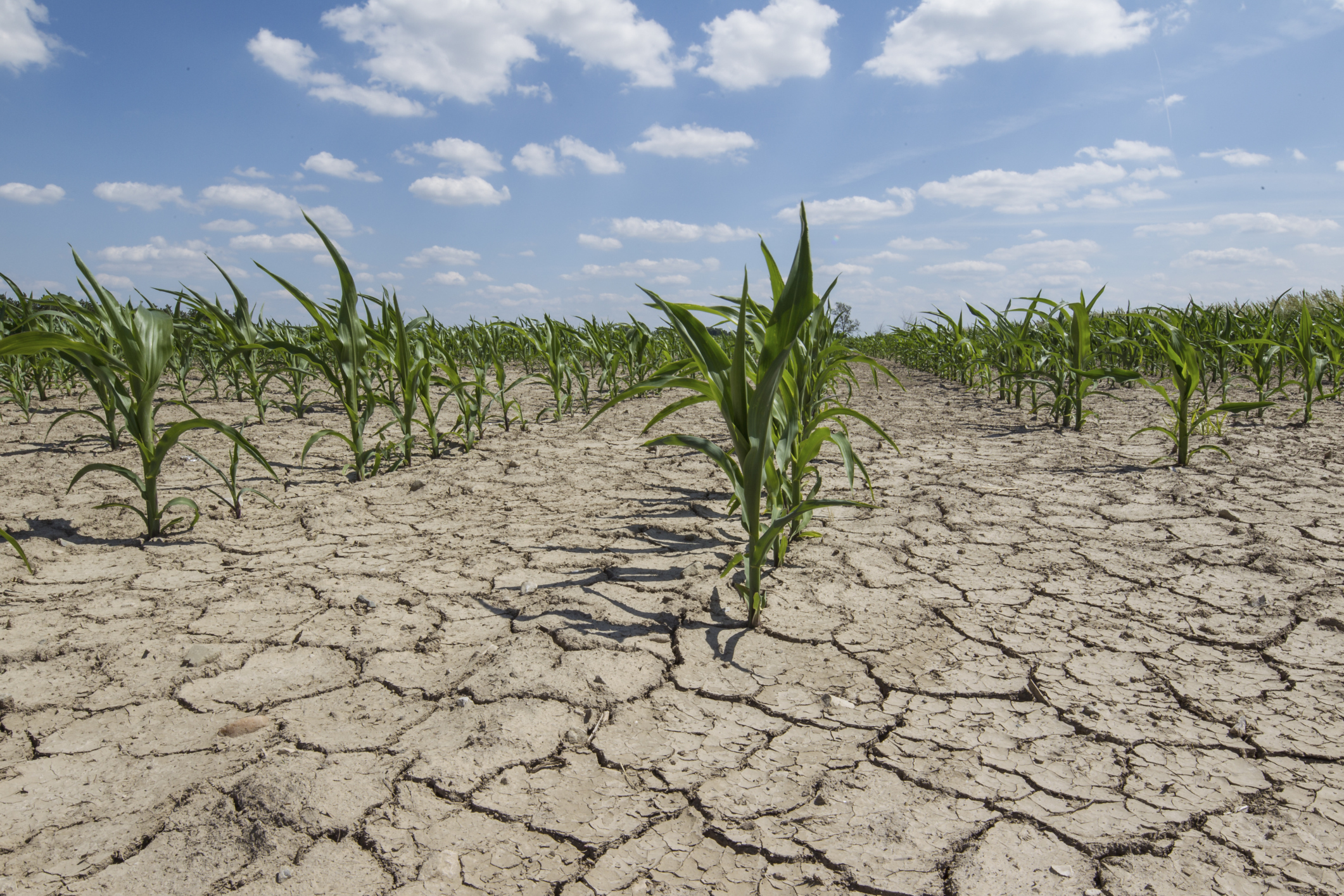 You don't need to be in a drought to save water You don't need to be in a drought to save water