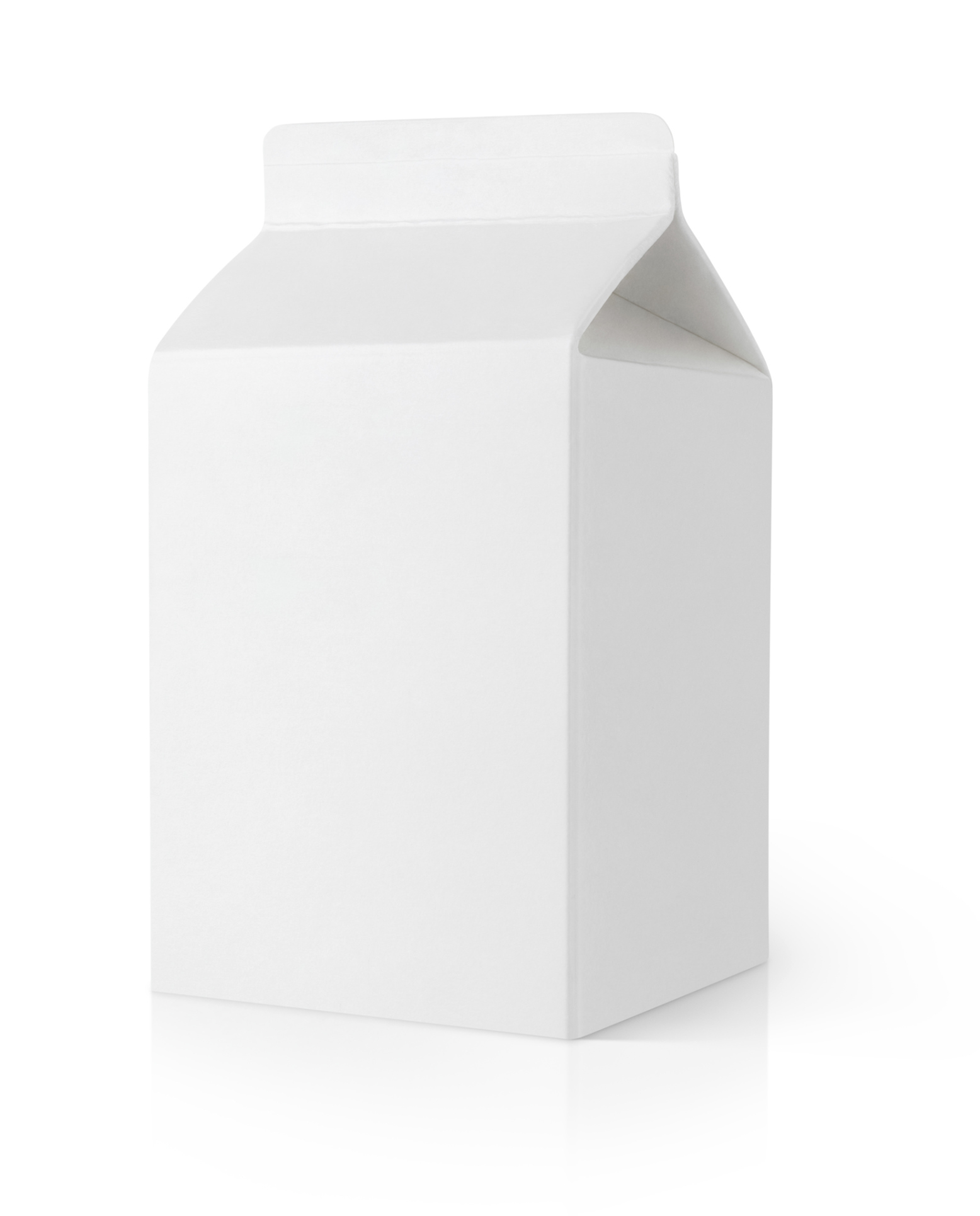 Milk carton boat
