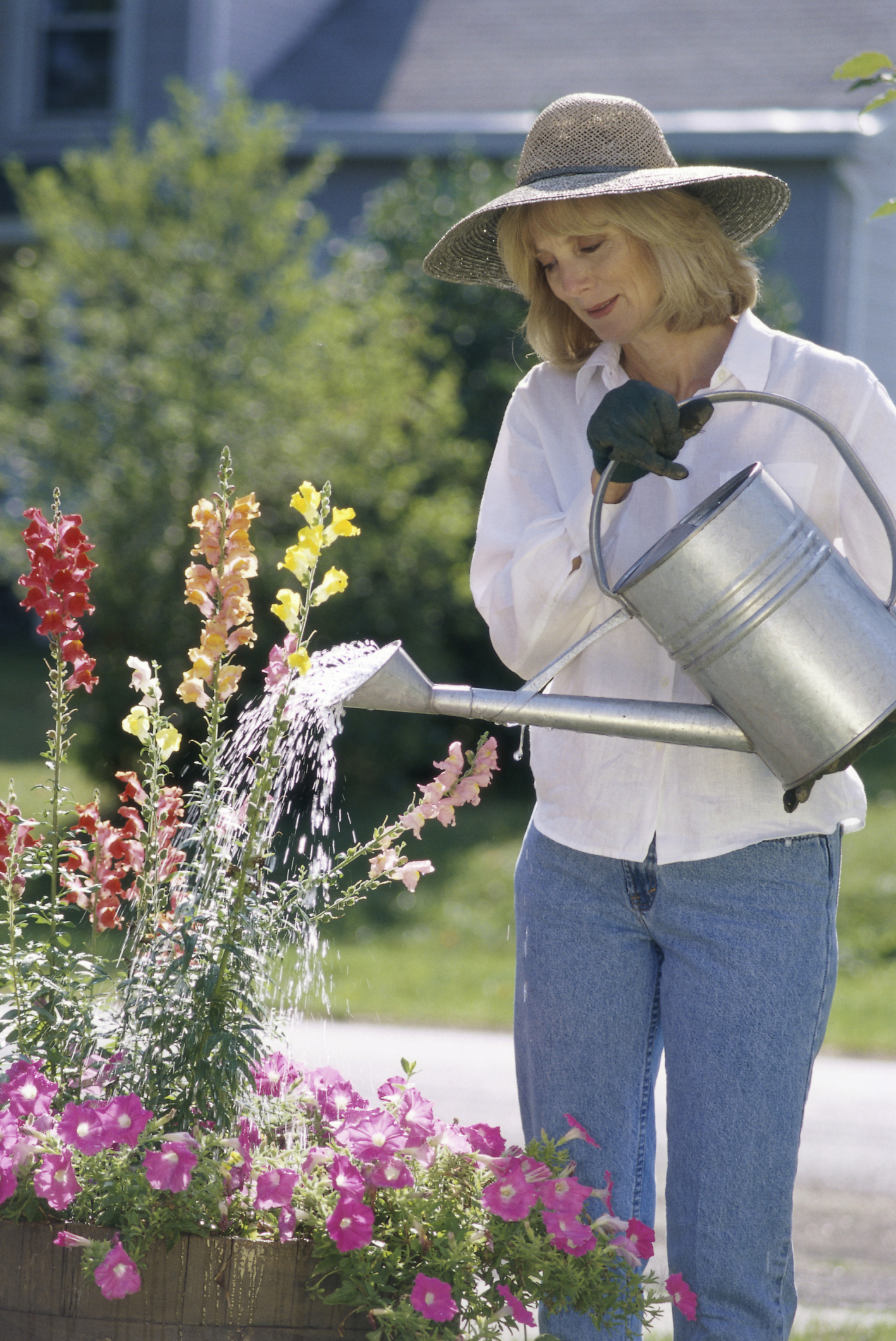 Rainwater Rainwater