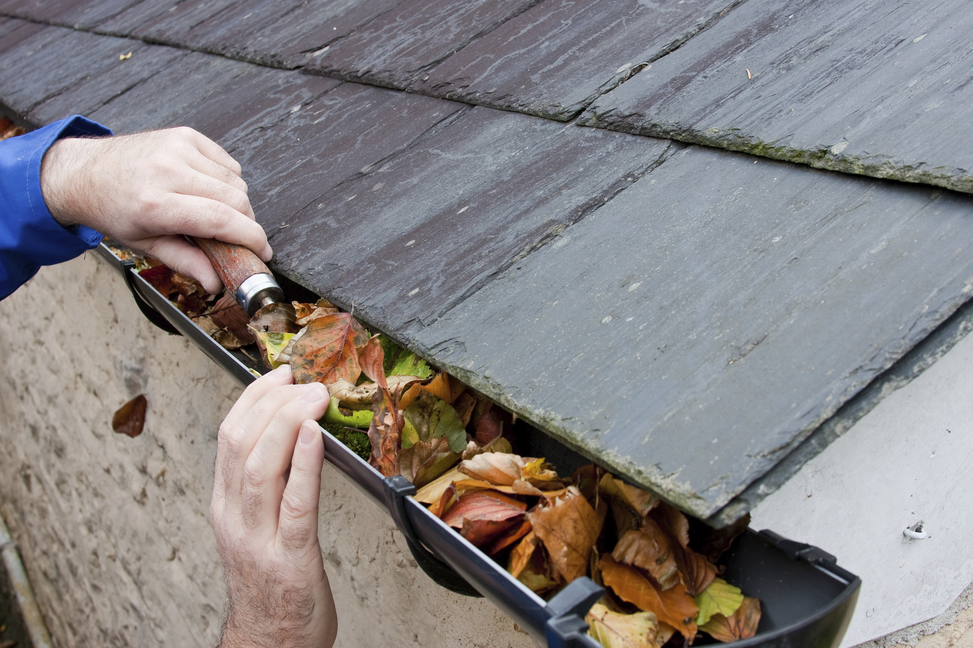 Cleaning our gutters