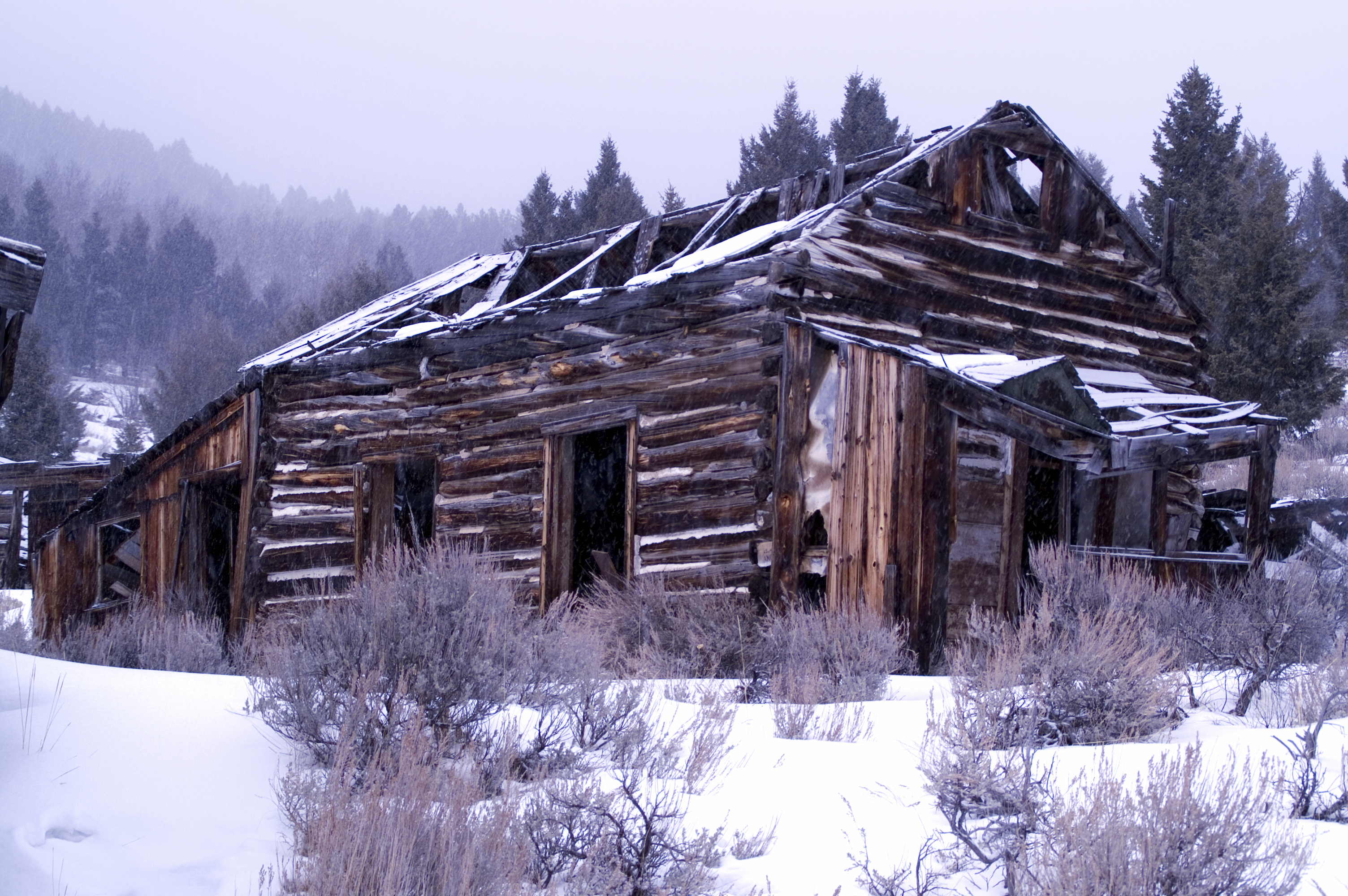 DIY Winterize