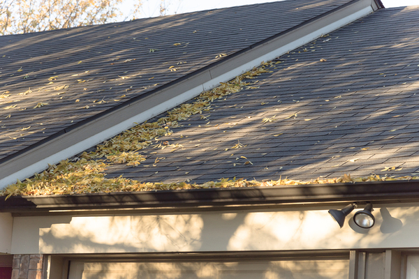 Roof with leaves.