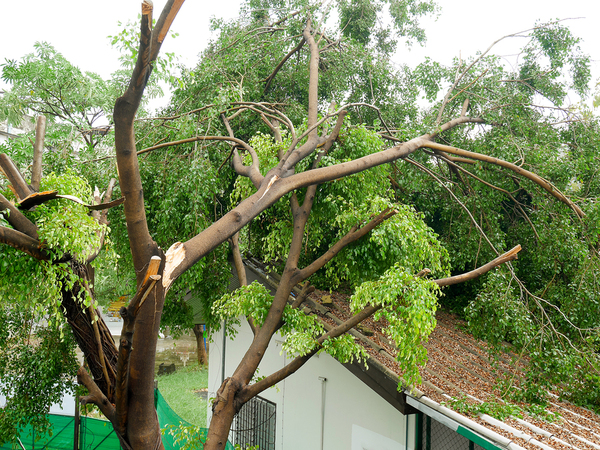 Roof replacement