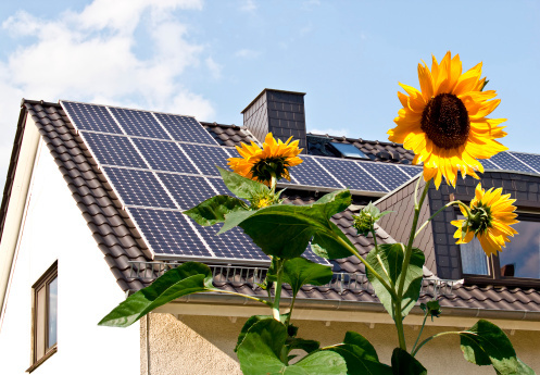 Green home inspectors