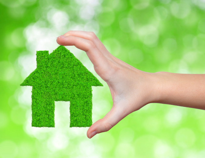 Green home inspectors