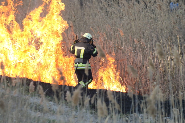 Firefighter assessing a brush fire.