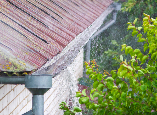 Roof top with damaged gutters.