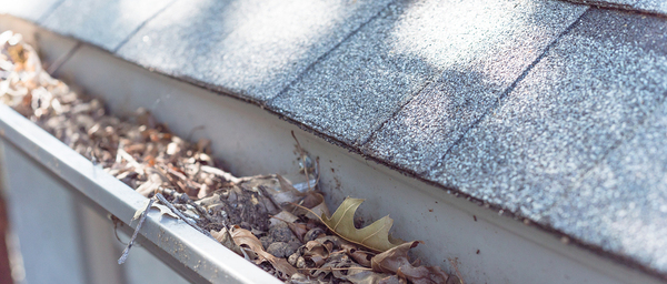 How Much Does It Cost To Install Seamless Gutters