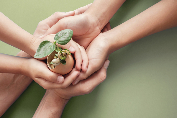 Three sets of cupped hands holding a plant.