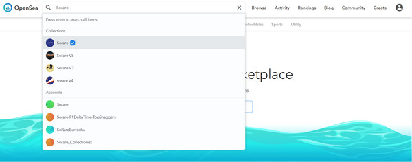 OpenSea search box.