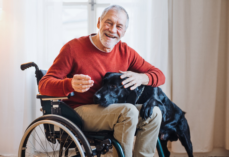 Smiling man in a wheelchair with his dog.