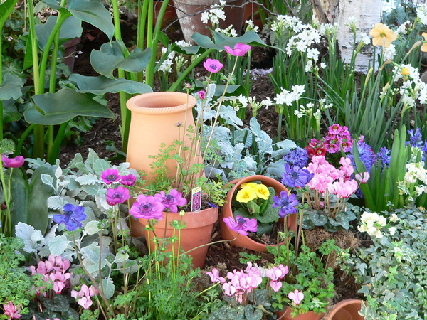 Outside flower garden.