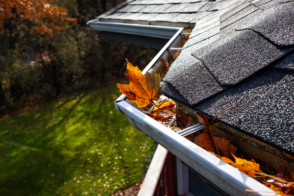 Roof with leaf filled shutters.
