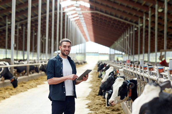 Man standing in a dairy farm surrounded by cows.