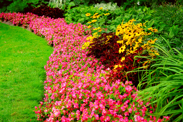 Garden planning