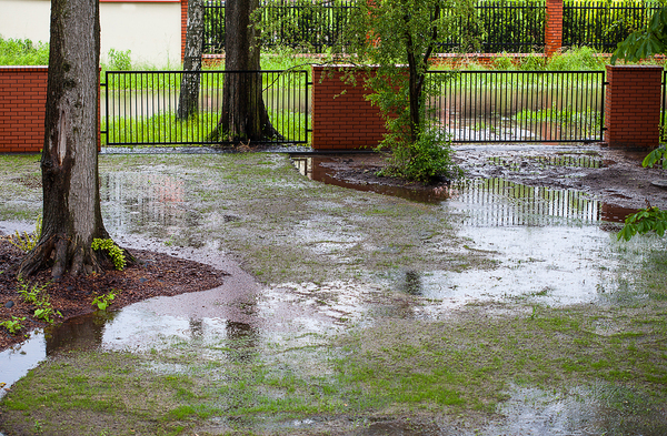 Garden design