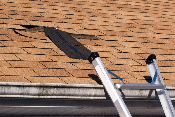 Gutter cover