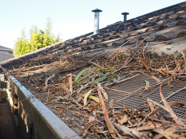 Gutter cover