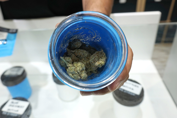 Cannabis buds in a blue cup.