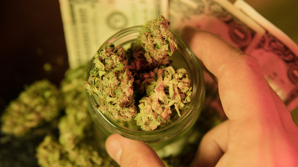 Cannabis buds in a glass jar.