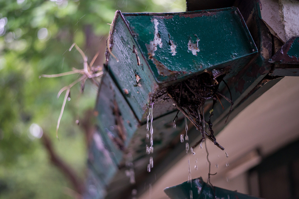 Gutter replacement